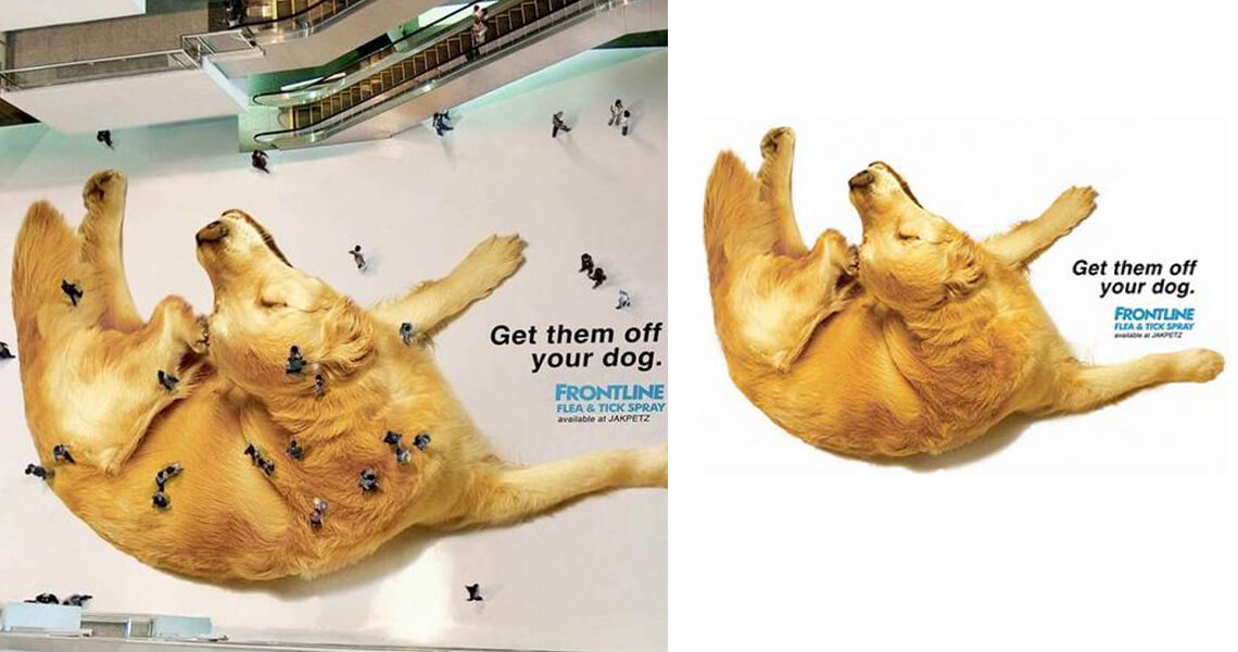floor sticker of a golden retriever in mall with people walking over it